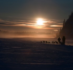 dog sledding into sunset