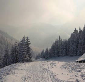 winter paradise cabin