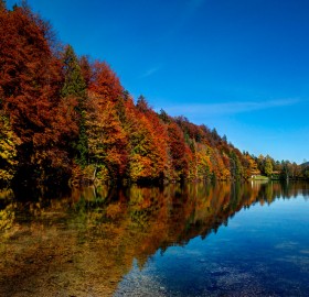 beautiful lake in tirol