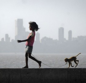 a girl, her monkey and mumbai
