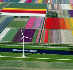 The Land of Tulips. Most Beautiful Photos of Holland