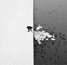 World Under Snow in 12 Magical Photos