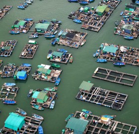 floating market, hong kong