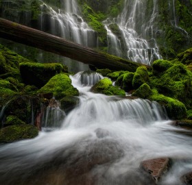 mossy green waterfall