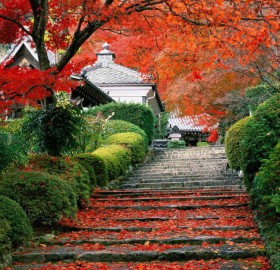 garden stairs in kyoto, japan