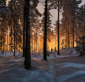 mysterious glowing light in a finland forest
