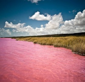 the pink lake, senegal
