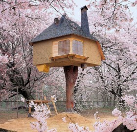 tree house, japan