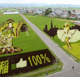 rice field art, japan