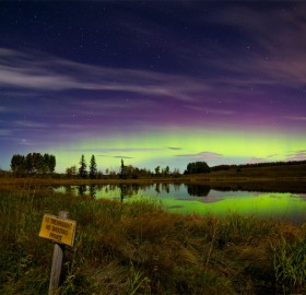 aurora borealis over lake in calgary