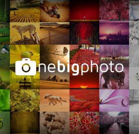 Top 10 Digital Photography Tips