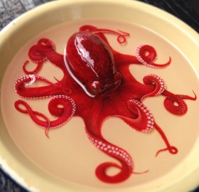 realistic 3D octopus painting