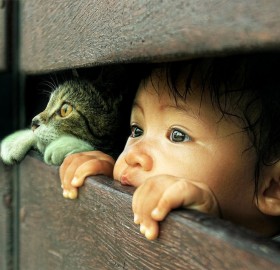 adorable photo of a child and a cat