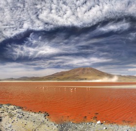 laguna colorada, salt lake, bolivia