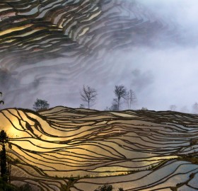 sunset over terrace fields, china