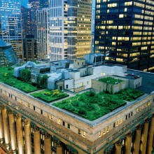 chicago city hall`s green roof