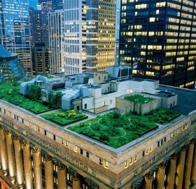 chicago city hall`s green roof