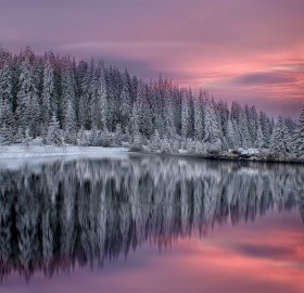 winter in rhodope mountains, bulgaria