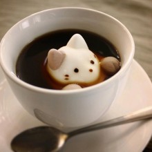 marshmallow cat inside coffee mug