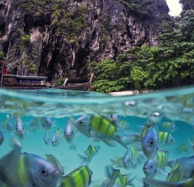 underwater life of poda island, thailand