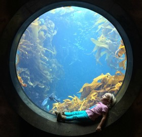 little girl at the aquarium