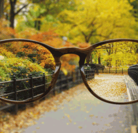 central park autumn through glasses [GIF]