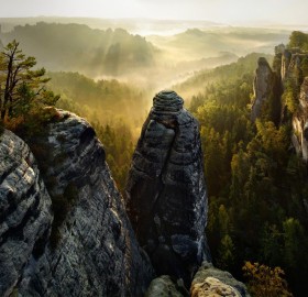 rock forest, germany