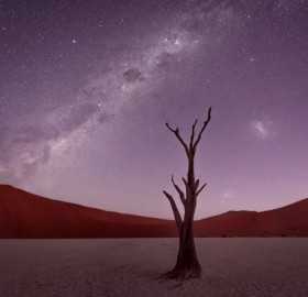 starry sky over namib desert