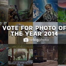 Best Photos of The Year 2014 on OneBigPhoto