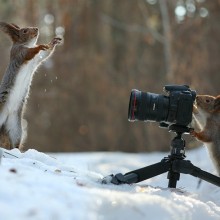 Hey Squirrel, Take A Photo Of Me!