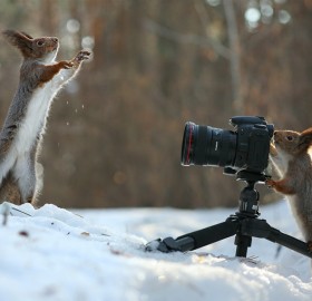 Hey Squirrel, Take A Photo Of Me!