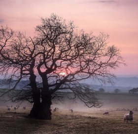 Sunset At Countryside, West Great Britain