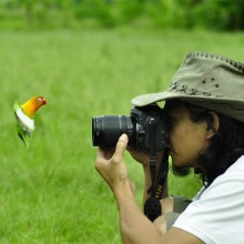 Bird Face To Face With Photographer