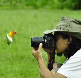 Bird Face To Face With Photographer