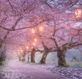 Osaka Fairy Tale, Japan