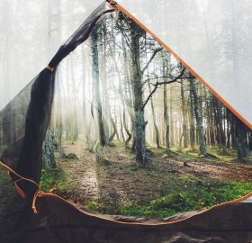 A View From A Tent