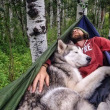 Tree Camping With A Dog