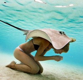 Stingray And A Girl