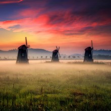 Morning Mist in Holland
